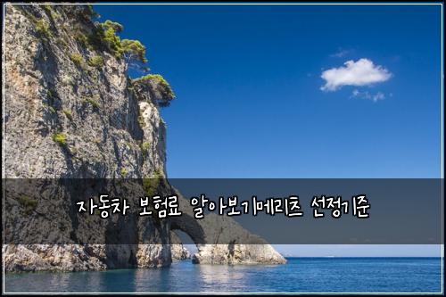 자동차 보험료 알아보기메리츠 선정기준