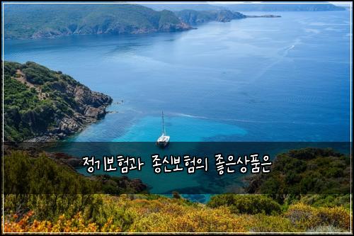 정기보험과 종신보험의 좋은상품은