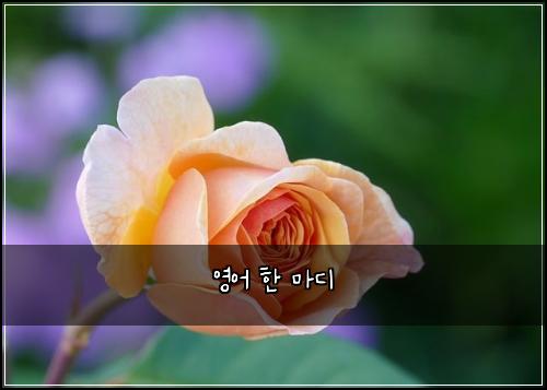 영어 한 마디