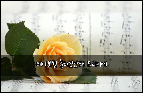 태아보험 놓쳐선안돼  프리미에