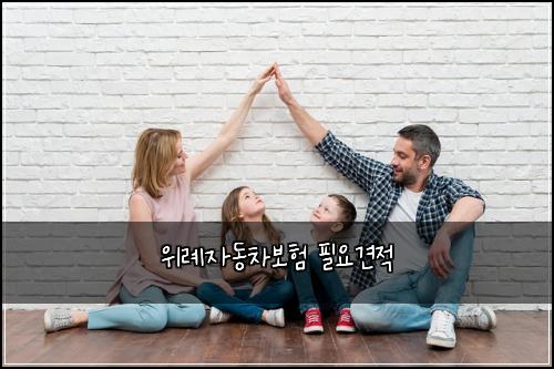 ์๋ก์๋์ฐจ๋ณดํ ํ์๊ฒฌ์ 