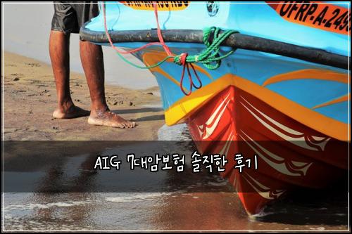 AIG 7대암보험 솔직한 후기