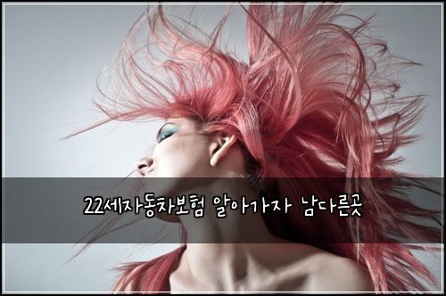 22์ธ์๋์ฐจ๋ณดํ ์์๊ฐ์ ๋จ๋ค๋ฅธ๊ณณ