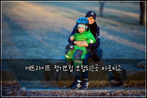 메트라이프 정기보험 보험되는곳  바로비교