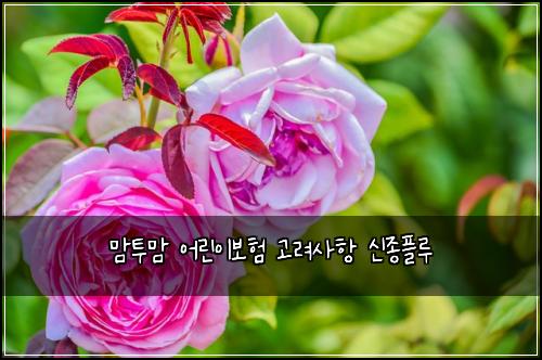 ๋งํฌ๋ง ์ด๋ฆฐ์ด๋ณดํ ๊ณ ๋ ค์ฌํญ ์ ์ข
ํ๋ฃจ
