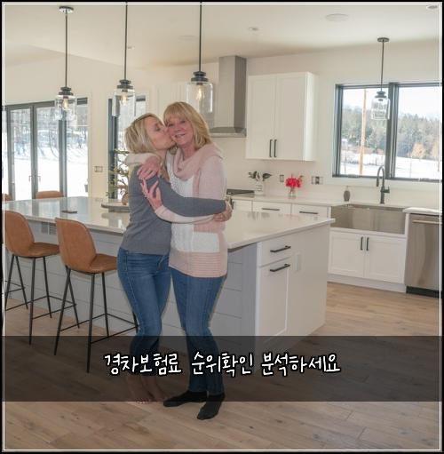 경차보험료 순위확인 분석하세요