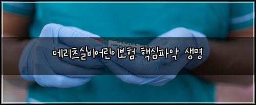 메리츠실비어린이보험 핵심파악  생명