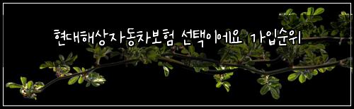 현대해상자동차보험 선택이에요  가입순위