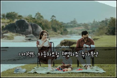 다이렉트 자동차보험 현명하죠  추가특약