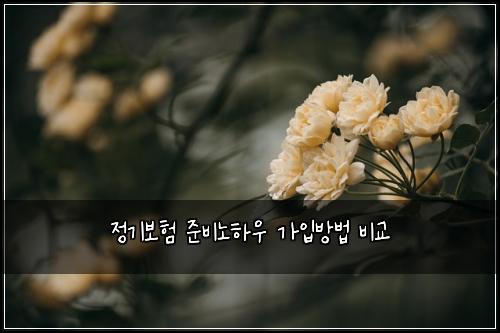 ์ ๊ธฐ๋ณดํ ์ค๋น๋
ธํ์ฐ ๊ฐ์
๋ฐฉ๋ฒ ๋น๊ต