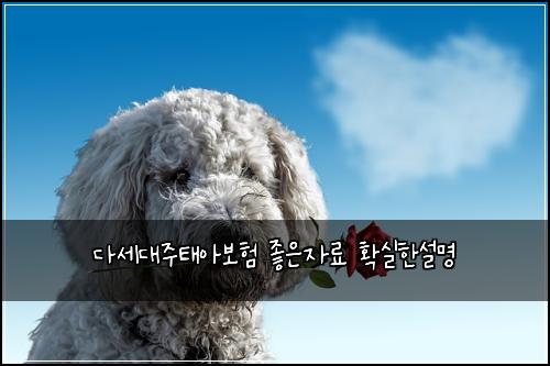 ๋ค์ธ๋์ฃผํ์๋ณดํ ์ข์์๋ฃ ํ์คํ์ค๋ช