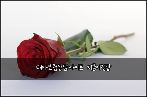 태아보험상담사이트 지금이정답