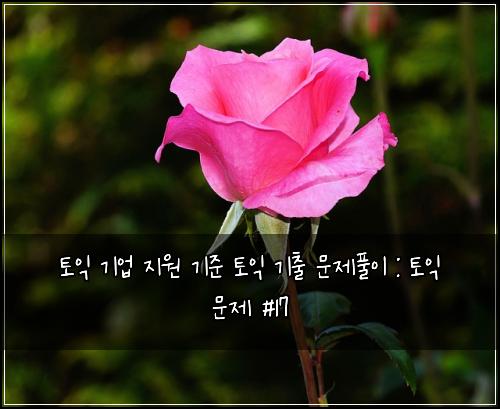 토익 기업 지원 기준 토익 기출 문제풀이 : 토익 문제 #17