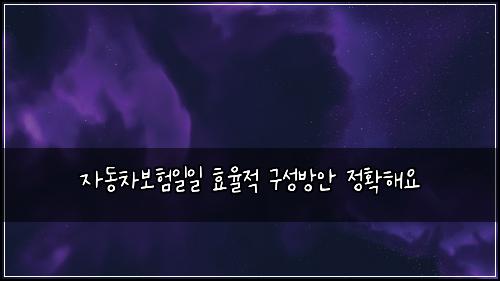 자동차보험일일 효율적 구성방안 정확해요