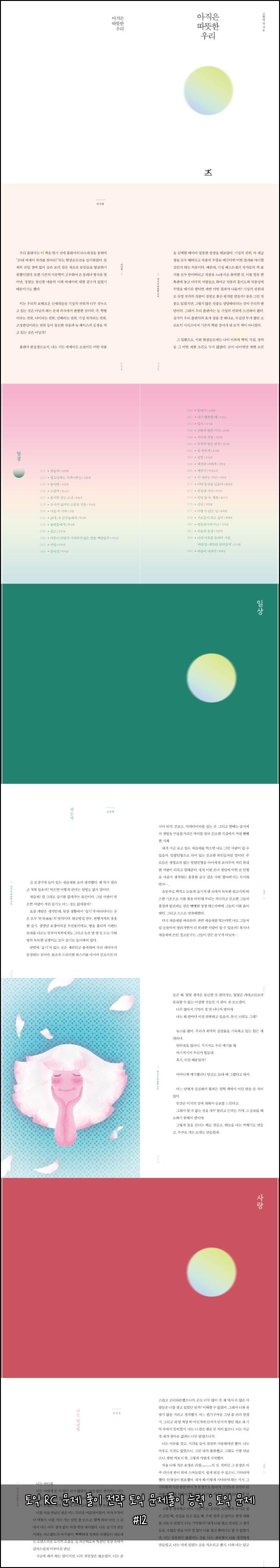 토익 RC 문제 풀이 전략 토익 문제풀이 능력 : 토익 문제 #12