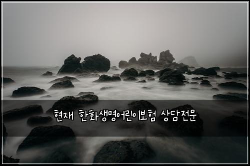 현재 한화생명어린이보험 상담전문 