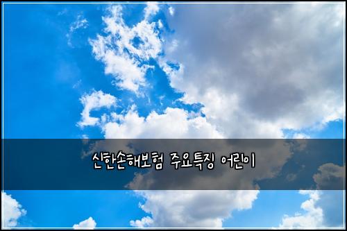 신한손해보험 주요특징  어린이 