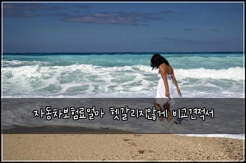 자동차보험료얼마 헷갈리지않게 비교견적서