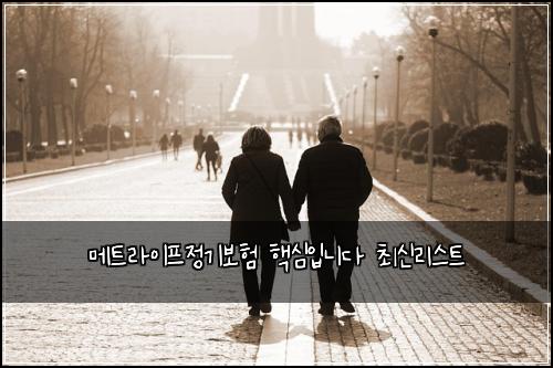 메트라이프정기보험 핵심입니다  최신리스트
