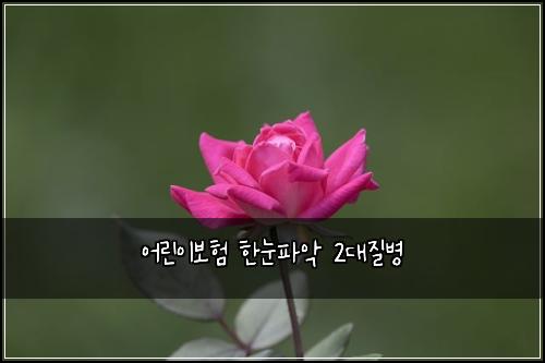 어린이보험 한눈파악  2대질병