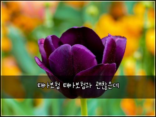 ํ์๋ณดํ ํ์๋ณดํ๊ณผ ๊ด์ฐฎ์๋ฐ