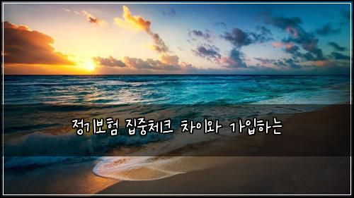 정기보험 집중체크  차이와 가입하는