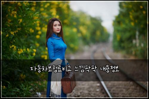 ์๋์ฐจ๋ณดํ๋ฃ๋น๊ต ๋๋ํํ ๋ด์ฉ์ ๋ณด