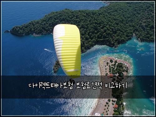 λ€μ΄λ νΈνμ보ν 보νλ£κ²¬μ λΉκ΅νκΈ°