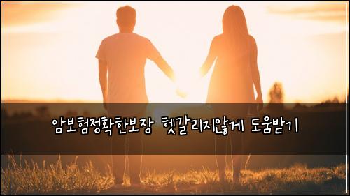 ์๋ณดํ์ ํํ๋ณด์ฅ ํท๊ฐ๋ฆฌ์ง์๊ฒ ๋์๋ฐ๊ธฐ