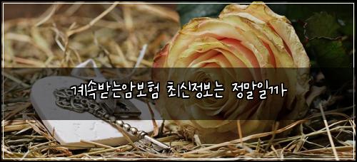 계속받는암보험 최신정보는  정말일까