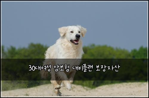 30대여성 암보험 대비플랜  보장자산