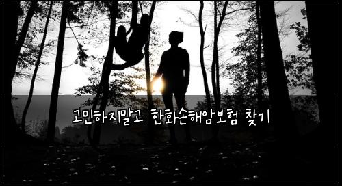 고민하지말고 한화손해암보험 찾기 