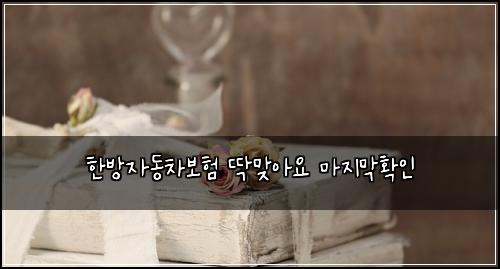 한방자동차보험 딱맞아요  마지막확인