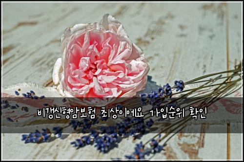 ๋น๊ฐฑ์ ํ์๋ณดํ ์ต์์ด์์ ๊ฐ์
์์ ํ์ธ