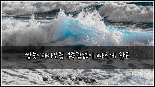 ์๋ฅ์ดํ์๋ณดํ ๋ถ์กฑํจ์์ด ๋น ๋ฅด๊ฒ ์๋ฃ
