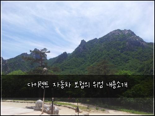 ๋ค์ด๋ ํธ ์๋์ฐจ ๋ณดํ์ ์์ ๋ด์ฉ์๊ฐ
