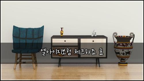 ์์์ด์ง๋ณดํ ์ฒดํฌํ์ฃ ํจ