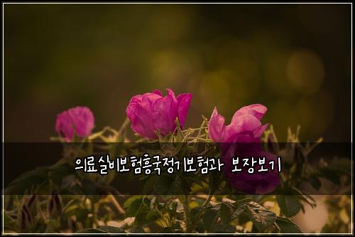 ์๋ฃ์ค๋น๋ณดํํฅ๊ตญ์ ๊ธฐ๋ณดํ๊ณผ ๋ณด์ฅ๋ณด๊ธฐ