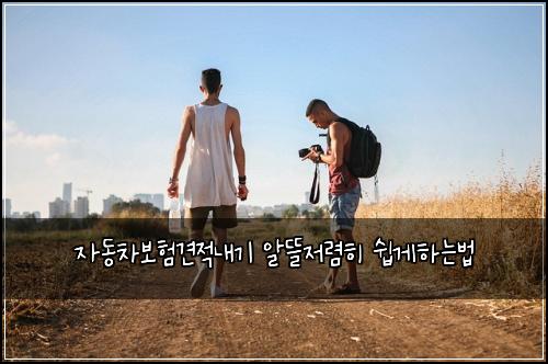 μλ차보ν견μ λ΄κΈ° μλ°μ λ ΄ν μ½κ²νλλ²