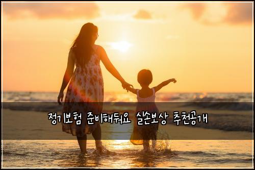 정기보험 준비해둬요  실손보상 추천공개