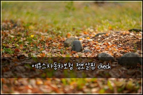 ์์ฟ ์ค์๋์ฐจ๋ณดํ ์ ๋ณด์ดํ check