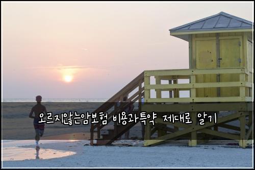 오르지않는암보험 비용과특약  제대로 알기