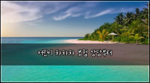 ์ด๋ฆฐ์ด ์ฐจ์ฐจ์ฐจ ๋ณดํ ์๋ด๋ถํฐ