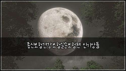종신보험건강보험실손보험편 인기상품