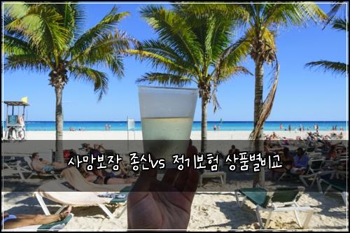 사망보장 종신vs 정기보험 상품별비교 