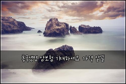 흥국생명 암보험 기대하세요  가격 알뜰