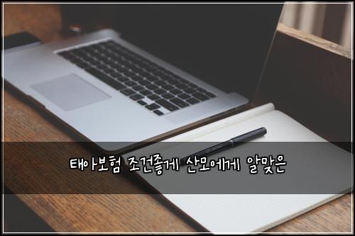 ํ์๋ณดํ ์กฐ๊ฑด์ข๊ฒ ์ฐ๋ชจ์๊ฒ ์๋ง์