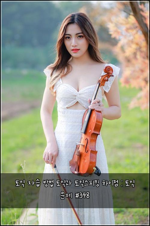 토익 자습 방법 토익과 토익스피킹 차이점 : 토익 문제 #348