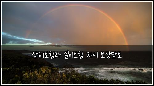 ์ํด๋ณดํ๊ณผ ์ค๋น๋ณดํ ์ฐจ์ด ๋ณด์๋ด๋ณด