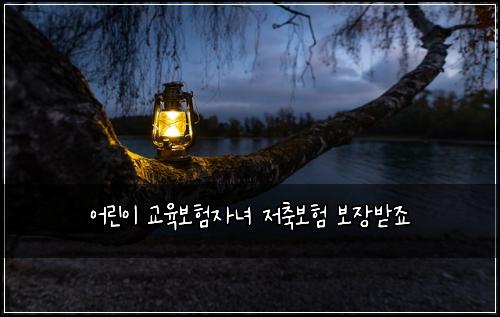 어린이 교육보험자녀 저축보험 보장받죠